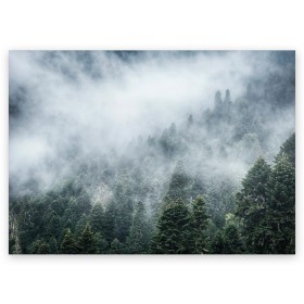 Поздравительная открытка с принтом Туманный лес в Тюмени, 100% бумага | плотность бумаги 280 г/м2, матовая, на обратной стороне линовка и место для марки
 | Тематика изображения на принте: белый | зеленый | лес | облака | облако | природа | темный | туман