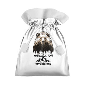 Подарочный 3D мешок с принтом hibernation в Тюмени, 100% полиэстер | Размер: 29*39 см | cryobiology | hibernation | бездействие | горы | зимняя спячка | криобиология | лес | медведь | сон | спячка