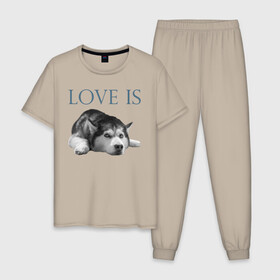 Мужская пижама хлопок с принтом Любовь - это хаски в Тюмени, 100% хлопок | брюки и футболка прямого кроя, без карманов, на брюках мягкая резинка на поясе и по низу штанин
 | Тематика изображения на принте: дрессировка | забота | любовь | сибирский хаски | собака | собаки | собачка | собачник | увлечение | хаски | хобби