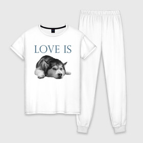 Женская пижама хлопок с принтом Любовь - это хаски в Тюмени, 100% хлопок | брюки и футболка прямого кроя, без карманов, на брюках мягкая резинка на поясе и по низу штанин | дрессировка | забота | любовь | сибирский хаски | собака | собаки | собачка | собачник | увлечение | хаски | хобби