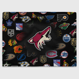 Плед 3D с принтом Arizona Coyotes | NHL (Z) в Тюмени, 100% полиэстер | закругленные углы, все края обработаны. Ткань не мнется и не растягивается | anaheim ducks | arizona coyotes | boston bruins | buffalo sabres | calgary flames | canadiens de montreal | carolina hurricanes | chicago blackhawks | colorado avalanche | columbus blue jackets | dallas stars | detroit red wings | edmonton oil | hockey | 