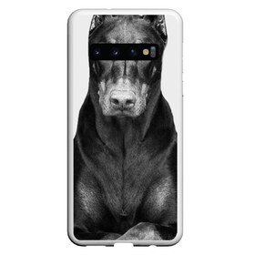 Чехол для Samsung Galaxy S10 с принтом Любовь - это доберман в Тюмени, Силикон | Область печати: задняя сторона чехла, без боковых панелей | доберман | дрессировка | забота | любовь | собака | собаки | собачка | собачник | увлечение | хобби