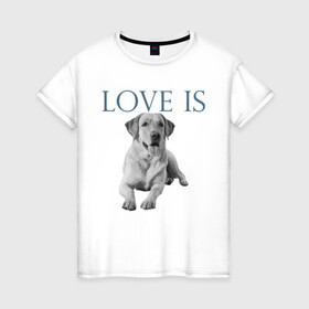 Женская футболка хлопок с принтом Любовь - это лабрадор в Тюмени, 100% хлопок | прямой крой, круглый вырез горловины, длина до линии бедер, слегка спущенное плечо | дрессировка | забота | лабр | лабрадор | лабрадор ретривер | любовь | собака | собаки | собачка | собачник | увлечение | хобби