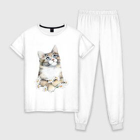 Женская пижама хлопок с принтом Котенок с ромашками в Тюмени, 100% хлопок | брюки и футболка прямого кроя, без карманов, на брюках мягкая резинка на поясе и по низу штанин | арт | животные | звери | картинка | кот | котенок | коты | кошка | рисунок