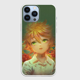 Чехол для iPhone 13 Pro Max с принтом The Promised Neverland в Тюмени,  |  | Тематика изображения на принте: anime | emma | mango | the promised neverland | yakusoku no neverland | аниме | манга | обещанная страна грёз | обещанный неверленд