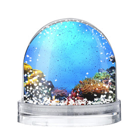 Снежный шар с принтом Подводный мир в Тюмени, Пластик | Изображение внутри шара печатается на глянцевой фотобумаге с двух сторон | аква | аквариум | актинии | вода | море | морские | морские звезды | морской | океан | под водой | подводный мир | пузырьки | рыба | рыба клоун | рыбы