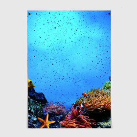 Постер с принтом Подводный мир в Тюмени, 100% бумага
 | бумага, плотность 150 мг. Матовая, но за счет высокого коэффициента гладкости имеет небольшой блеск и дает на свету блики, но в отличии от глянцевой бумаги не покрыта лаком | аква | аквариум | актинии | вода | море | морские | морские звезды | морской | океан | под водой | подводный мир | пузырьки | рыба | рыба клоун | рыбы