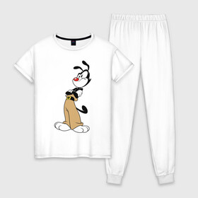Женская пижама хлопок с принтом Animaniacs в Тюмени, 100% хлопок | брюки и футболка прямого кроя, без карманов, на брюках мягкая резинка на поясе и по низу штанин | animaniacs | vdpartat | yakko warner | озорные анимашки | якко уорнер