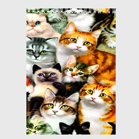 Скетчбук с принтом КОТЫ в Тюмени, 100% бумага
 | 48 листов, плотность листов — 100 г/м2, плотность картонной обложки — 250 г/м2. Листы скреплены сверху удобной пружинной спиралью | cat | взгляд | кот | кот хипстер | котёнок | котятки | котятушки | кошечки | кошка | мордочка