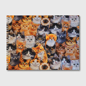 Альбом для рисования с принтом КОТЯТКИ в Тюмени, 100% бумага
 | матовая бумага, плотность 200 мг. | cat | взгляд | кот | кот хипстер | котёнок | котятки | котятушки | кошечки | кошка | мордочка