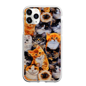 Чехол для iPhone 11 Pro Max матовый с принтом КОТЯТКИ в Тюмени, Силикон |  | Тематика изображения на принте: cat | взгляд | кот | кот хипстер | котёнок | котятки | котятушки | кошечки | кошка | мордочка