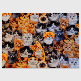 Поздравительная открытка с принтом КОТЯТКИ в Тюмени, 100% бумага | плотность бумаги 280 г/м2, матовая, на обратной стороне линовка и место для марки
 | cat | взгляд | кот | кот хипстер | котёнок | котятки | котятушки | кошечки | кошка | мордочка