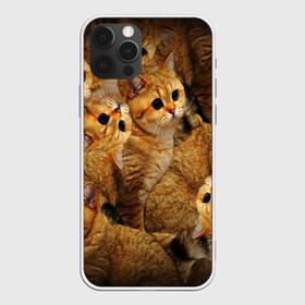 Чехол для iPhone 12 Pro Max с принтом КОТЯТУШКИ в Тюмени, Силикон |  | Тематика изображения на принте: cat | взгляд | кот | кот хипстер | котёнок | котятки | котятушки | кошечки | кошка | мордочка