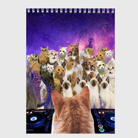 Скетчбук с принтом КОТ DJ в Тюмени, 100% бумага
 | 48 листов, плотность листов — 100 г/м2, плотность картонной обложки — 250 г/м2. Листы скреплены сверху удобной пружинной спиралью | cat | взгляд | кот | кот хипстер | котёнок | котятки | котятушки | кошечки | кошка | мордочка