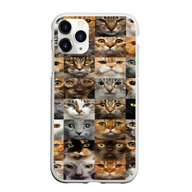 Чехол для iPhone 11 Pro Max матовый с принтом КОТОПАТТЕРН в Тюмени, Силикон |  | Тематика изображения на принте: cat | взгляд | кот | кот хипстер | котёнок | котятки | котятушки | кошечки | кошка | мордочка