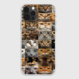 Чехол для iPhone 12 Pro Max с принтом КОТОПАТТЕРН в Тюмени, Силикон |  | Тематика изображения на принте: cat | взгляд | кот | кот хипстер | котёнок | котятки | котятушки | кошечки | кошка | мордочка