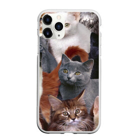 Чехол для iPhone 11 Pro Max матовый с принтом КОТЯТКИ в Тюмени, Силикон |  | Тематика изображения на принте: cat | взгляд | кот | кот хипстер | котёнок | котятки | котятушки | кошечки | кошка | мордочка