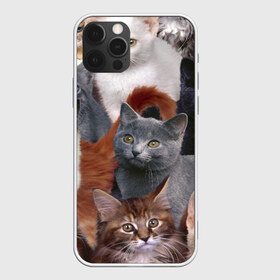 Чехол для iPhone 12 Pro Max с принтом КОТЯТКИ в Тюмени, Силикон |  | Тематика изображения на принте: cat | взгляд | кот | кот хипстер | котёнок | котятки | котятушки | кошечки | кошка | мордочка