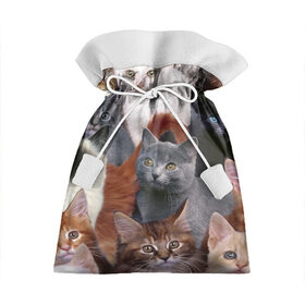 Подарочный 3D мешок с принтом КОТЯТКИ в Тюмени, 100% полиэстер | Размер: 29*39 см | Тематика изображения на принте: cat | взгляд | кот | кот хипстер | котёнок | котятки | котятушки | кошечки | кошка | мордочка