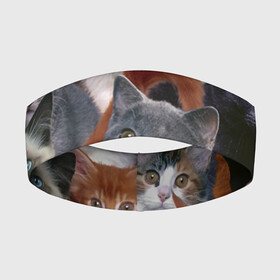 Повязка на голову 3D с принтом КОТЯТКИ в Тюмени,  |  | cat | взгляд | кот | кот хипстер | котёнок | котятки | котятушки | кошечки | кошка | мордочка