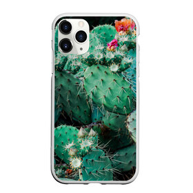 Чехол для iPhone 11 Pro Max матовый с принтом кактусы с цветами реализм в Тюмени, Силикон |  | бутоны | иголки | кактус | кактусы | комнатные растения | лето | реализм | суккуленты | тропики | узор | цветки | цветы | экзотика