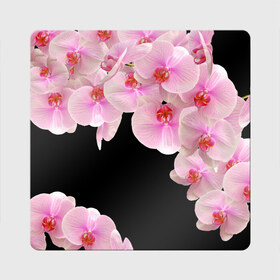 Магнит виниловый Квадрат с принтом Орхидеи в ночи в Тюмени, полимерный материал с магнитным слоем | размер 9*9 см, закругленные углы | Тематика изображения на принте: азия | бабочки | бутоны | ветки | девушкам | джунгли | женщинам | лепестки | летний | лето | листья | любовь | март | орхидеи | орхидея | подарок | природа | растения | розовыецветы | сад | тропика