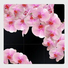 Магнитный плакат 3Х3 с принтом Орхидеи в ночи в Тюмени, Полимерный материал с магнитным слоем | 9 деталей размером 9*9 см | Тематика изображения на принте: азия | бабочки | бутоны | ветки | девушкам | джунгли | женщинам | лепестки | летний | лето | листья | любовь | март | орхидеи | орхидея | подарок | природа | растения | розовыецветы | сад | тропика