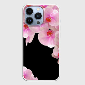 Чехол для iPhone 13 Pro с принтом Орхидеи в ночи в Тюмени,  |  | Тематика изображения на принте: азия | бабочки | бутоны | ветки | девушкам | джунгли | женщинам | лепестки | летний | лето | листья | любовь | март | орхидеи | орхидея | подарок | природа | растения | розовыецветы | сад | тропика