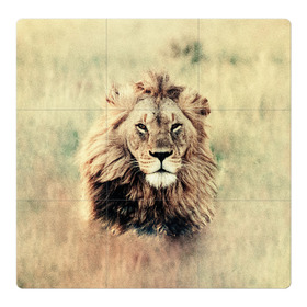 Магнитный плакат 3Х3 с принтом Lion King в Тюмени, Полимерный материал с магнитным слоем | 9 деталей размером 9*9 см | Тематика изображения на принте: animals | king | lion | африка | взгляд | голова | грива | дикие | животные | зверек | зверь | зодиак | клыки | король | кот | кошак | кошка | лапы | лев | лео | львенок | оскал | природа | саванна | симба | созвездие