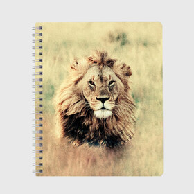 Тетрадь с принтом Lion King в Тюмени, 100% бумага | 48 листов, плотность листов — 60 г/м2, плотность картонной обложки — 250 г/м2. Листы скреплены сбоку удобной пружинной спиралью. Уголки страниц и обложки скругленные. Цвет линий — светло-серый
 | Тематика изображения на принте: animals | king | lion | африка | взгляд | голова | грива | дикие | животные | зверек | зверь | зодиак | клыки | король | кот | кошак | кошка | лапы | лев | лео | львенок | оскал | природа | саванна | симба | созвездие