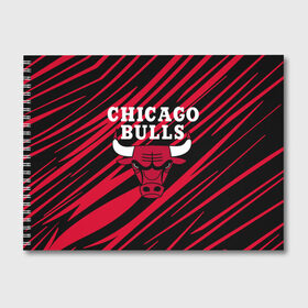 Альбом для рисования с принтом Chicago Bulls в Тюмени, 100% бумага
 | матовая бумага, плотность 200 мг. | Тематика изображения на принте: 23 | air jordan | bulls | chicago bulls | jordan | michael jordan | nba | paris saint germain | psg | red | sport | быки | джордан | майкл джордан | псж | спорт | чикаго буллс