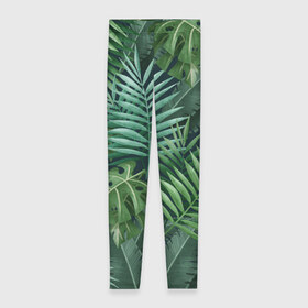 Леггинсы 3D с принтом Тропики в Тюмени, 80% полиэстер, 20% эластан | Эластичный пояс, зауженные к низу, низкая посадка | summer | банановая | банановые | джунгли | зелень | краски | летняя | лето | листики | листы | листья | надпись | настроение | отдых | отпуск | пальма | пальмовые | пальмы | папоротник | пляжная | позитив