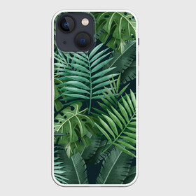Чехол для iPhone 13 mini с принтом Тропики в Тюмени,  |  | summer | банановая | банановые | джунгли | зелень | краски | летняя | лето | листики | листы | листья | надпись | настроение | отдых | отпуск | пальма | пальмовые | пальмы | папоротник | пляжная | позитив