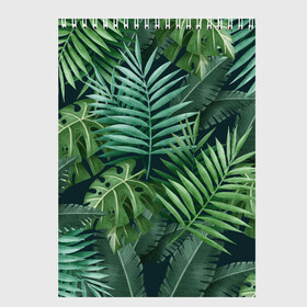 Скетчбук с принтом Тропики в Тюмени, 100% бумага
 | 48 листов, плотность листов — 100 г/м2, плотность картонной обложки — 250 г/м2. Листы скреплены сверху удобной пружинной спиралью | summer | банановая | банановые | джунгли | зелень | краски | летняя | лето | листики | листы | листья | надпись | настроение | отдых | отпуск | пальма | пальмовые | пальмы | папоротник | пляжная | позитив