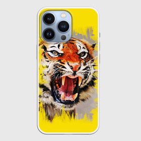 Чехол для iPhone 13 Pro с принтом Оскал тигра в Тюмени,  |  | барс | волк | детёныш | джунгли | енот | животное | зубр | кот | лев | леопард | львица | медведь | охотник | пасть | полосы | пятнистая | рык | рычание | тигр | тигрица | хозяин | царьзверей | шерсть