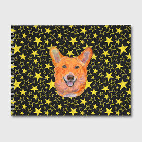 Альбом для рисования с принтом Corgi Stars в Тюмени, 100% бумага
 | матовая бумага, плотность 200 мг. | Тематика изображения на принте: corgi | dog | dogs | instagram | korgi | star | stars | telegram | tik tok | vk | звездочка | звездочки | звезды | корги | лапки | лапы | милая | пёс | песик | псы | сабака | сабачка | собака | собачка | собачки