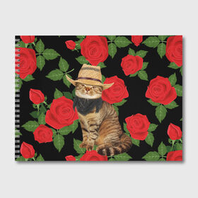 Альбом для рисования с принтом Мачо Котик Ковбой в Тюмени, 100% бумага
 | матовая бумага, плотность 200 мг. | cat | cats | kitten | mem | memes | rose | roses | глаза | глазки | киска | кот | котёнок | котик | котики | котэ | котята | кошак | кошка | кошки | красивая | мем | мемчики | милая | прикольная | роза | розы | светлая | темная