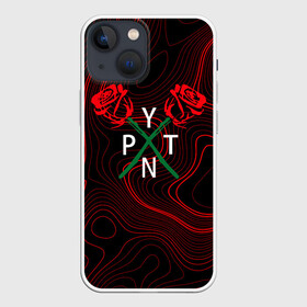 Чехол для iPhone 13 mini с принтом ТИКТОКЕР   PAYTON MOORMEIE. в Тюмени,  |  | payton | payton moormeie | pytn | rose | блогер | знаменитость | пейтон | пейтон моормиер | тиктоенр