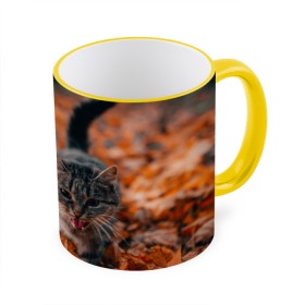 Кружка с принтом мяукающий кот осенние листья в Тюмени, керамика | ёмкость 330 мл | золотая осень | кот | кошка | крик | листва | листья | мяу | мяукает | осень | сезон | уличный котейка