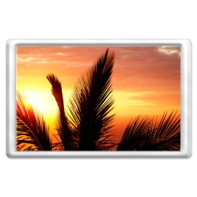 Магнит 45*70 с принтом пальмы ветки закат море отдых в Тюмени, Пластик | Размер: 78*52 мм; Размер печати: 70*45 | 