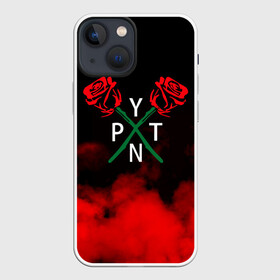 Чехол для iPhone 13 mini с принтом PYTN X ROSE. в Тюмени,  |  | payton | payton moormeie | pytn | rose | блогер | знаменитость | пейтон | пейтон моормиер | тиктоенр