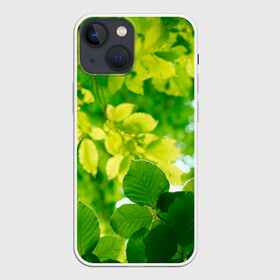 Чехол для iPhone 13 mini с принтом Листья. в Тюмени,  |  | abstract | brand | geometry | sport | texture | абстракция | бренд | геометрия | классика | летние | минимализм | модные | популярные иллюстрации | прикольные картинки | спорт | стиль | стильные | текстура