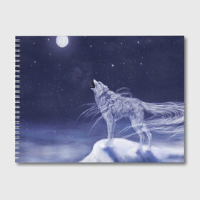 Альбом для рисования с принтом WOLF WHITE(D) в Тюмени, 100% бумага
 | матовая бумага, плотность 200 мг. | wolf | волк | волки | волчица | животные | одинокий волк