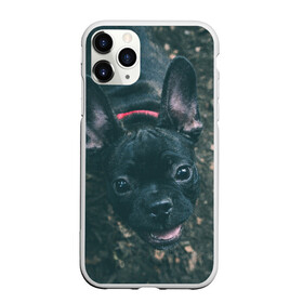 Чехол для iPhone 11 Pro Max матовый с принтом Бульдог морда собакена черного в Тюмени, Силикон |  | бульдог | гав | глаза | любимец | любителю животных | ошейник | пес | песель | песик | питомец | псина | псинка | собака | собакен | собачка | собачник | уши | черный | язык