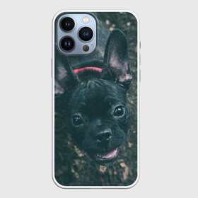 Чехол для iPhone 13 Pro Max с принтом Бульдог морда собакена черного в Тюмени,  |  | Тематика изображения на принте: бульдог | гав | глаза | любимец | любителю животных | ошейник | пес | песель | песик | питомец | псина | псинка | собака | собакен | собачка | собачник | уши | черный | язык