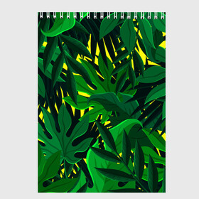Скетчбук с принтом В джунглях в Тюмени, 100% бумага
 | 48 листов, плотность листов — 100 г/м2, плотность картонной обложки — 250 г/м2. Листы скреплены сверху удобной пружинной спиралью | nature | summer | азия | бали | бамбук | деревья | джунгли | жара | зелень | кусты | лес | летний | лето | листья | море | острова | отдых | отпуск | пальмы | папоротник | пляж | природа | растения | солнце