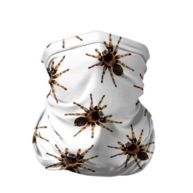 Бандана-труба 3D с принтом В пауках в Тюмени, 100% полиэстер, ткань с особыми свойствами — Activecool | плотность 150‒180 г/м2; хорошо тянется, но сохраняет форму | pattern | spider | джунгли | дикие | животные | жуки | звери | лапы | мерзкие | монстр | насекомые | паттерн | паук | пауки | паутина | паучок | птицеед | страшный | существа | тараканы | тарантул | тропики