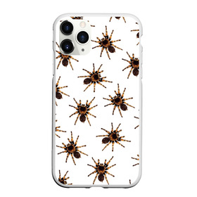 Чехол для iPhone 11 Pro матовый с принтом В пауках в Тюмени, Силикон |  | Тематика изображения на принте: pattern | spider | джунгли | дикие | животные | жуки | звери | лапы | мерзкие | монстр | насекомые | паттерн | паук | пауки | паутина | паучок | птицеед | страшный | существа | тараканы | тарантул | тропики