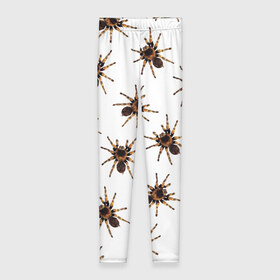 Леггинсы 3D с принтом В пауках в Тюмени, 80% полиэстер, 20% эластан | Эластичный пояс, зауженные к низу, низкая посадка | pattern | spider | джунгли | дикие | животные | жуки | звери | лапы | мерзкие | монстр | насекомые | паттерн | паук | пауки | паутина | паучок | птицеед | страшный | существа | тараканы | тарантул | тропики