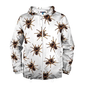 Мужская ветровка 3D с принтом В пауках в Тюмени, 100% полиэстер | подол и капюшон оформлены резинкой с фиксаторами, два кармана без застежек по бокам, один потайной карман на груди | pattern | spider | джунгли | дикие | животные | жуки | звери | лапы | мерзкие | монстр | насекомые | паттерн | паук | пауки | паутина | паучок | птицеед | страшный | существа | тараканы | тарантул | тропики